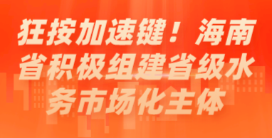 狂按加速鍵！海南省積極組建省級(jí)水務(wù)市場化主體